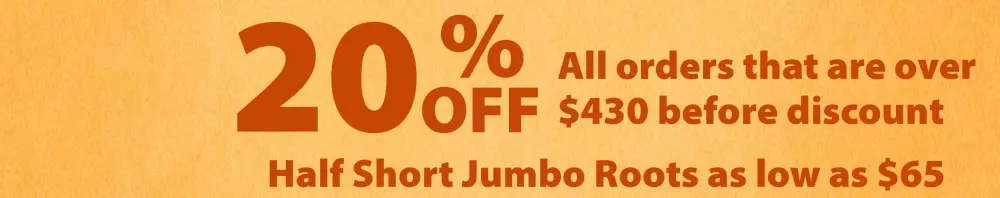 Fall 2025 Sale