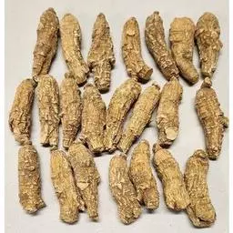 Click here to learn more about the Half Short Jumbo Wisconsin Ginseng Root.