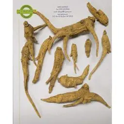 Click here to learn more about the 4 Year Old Ungraded Mixed Wisconsin Ginseng Roots Small/Medium/Large/XL- One Pound.