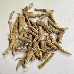 Click here to learn more about the 4 Year Old Ungraded Mixed Wisconsin Ginseng Roots Small/Medium/Large/XL- One Pound.